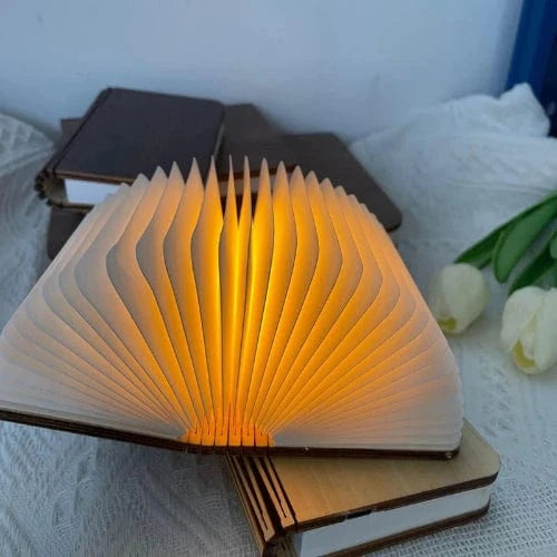 Lampe de table sans fil LED livre